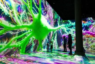 ARTECHOUSE PRESENTS LIFE OF A NEURON — THE GROUNDBREAKING EXHIBITION THAT  TELLS THE STORY OF THE GREATEST MYSTERY OF THE HUMAN BRAIN — IS COMING TO NEW  YORK CITY THIS SUMMER