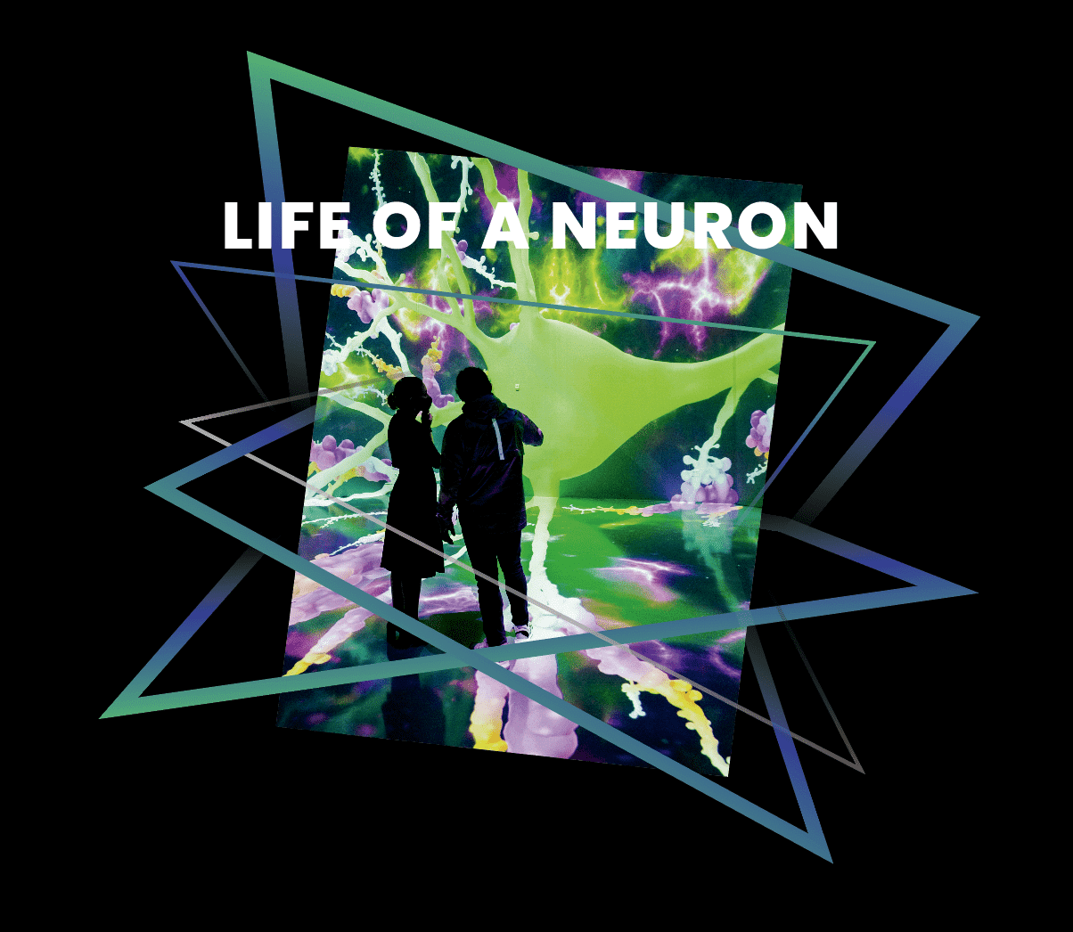 ARTECHOUSE PRESENTS LIFE OF A NEURON — THE GROUNDBREAKING EXHIBITION THAT  TELLS THE STORY OF THE GREATEST MYSTERY OF THE HUMAN BRAIN — IS COMING TO NEW  YORK CITY THIS SUMMER